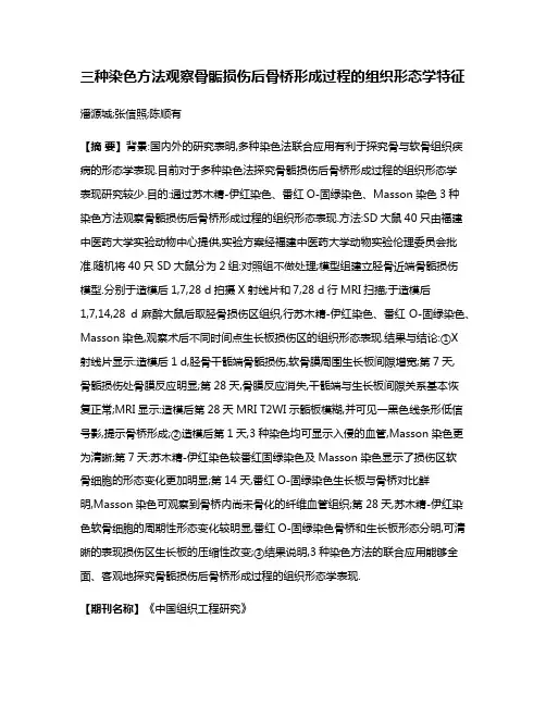 三种染色方法观察骨骺损伤后骨桥形成过程的组织形态学特征