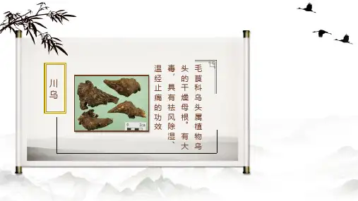 61乌头中药化学中药化学