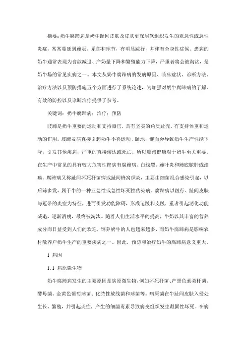 奶牛腐蹄病及综合防治措施