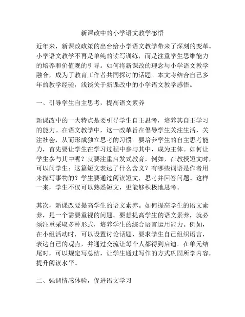 新课改中的小学语文教学感悟