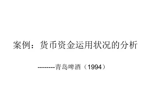 案例：货币资金运用状况的分析精品PPT课件