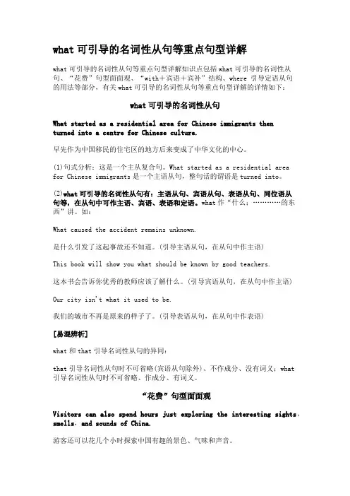 what可引导的名词性从句等重点句型详解