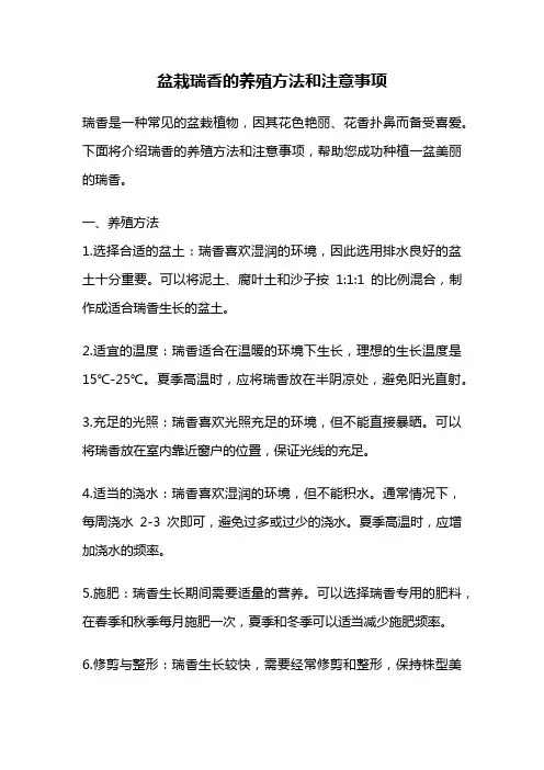 盆栽瑞香的养殖方法和注意事项