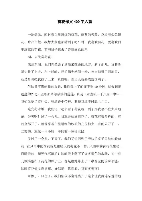 荷花作文400字六篇精选