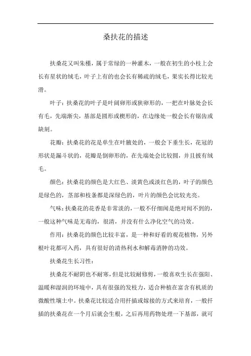 桑扶花的描述