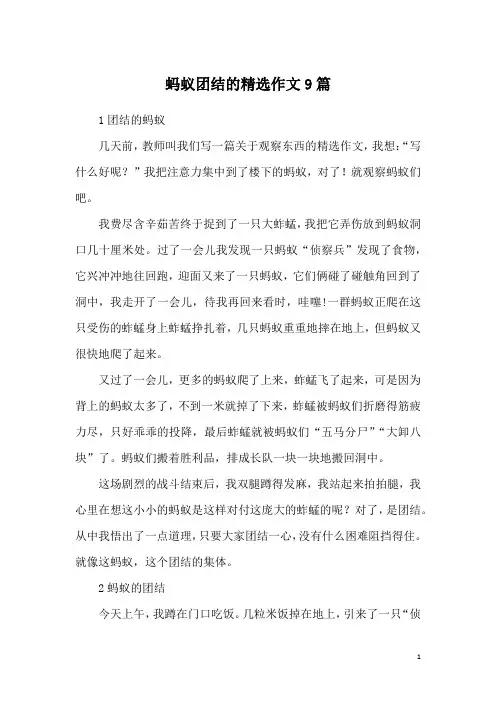 蚂蚁团结的精选作文9篇