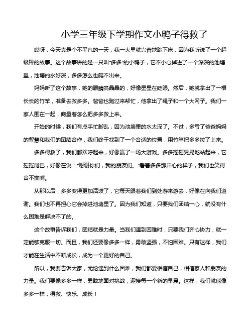 小学三年级下学期作文小鸭子得救了