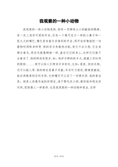 我观察的一种小动物_四年级作文