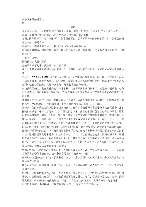春游回来的感受作文