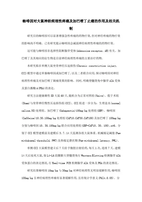 咖啡因对大鼠神经病理性疼痛及加巴喷丁止痛的作用及相关机制