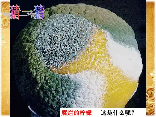 第二十三章 第二节 食品保存