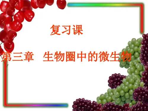 济南版七上第三章《生物圈中的微生物》复习课件