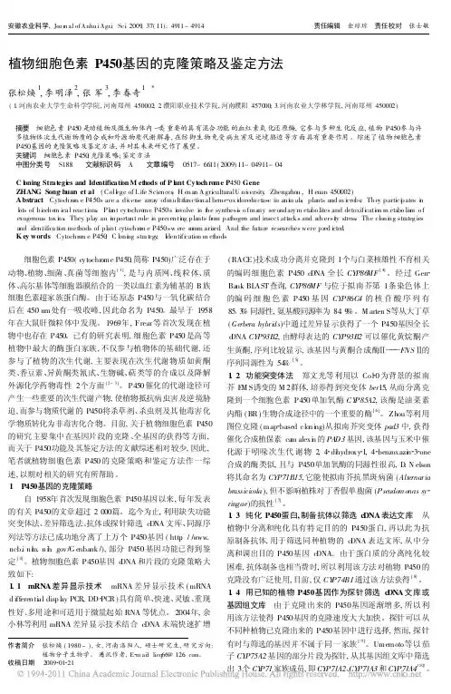 植物细胞色素P450基因的克隆策略及鉴定方法