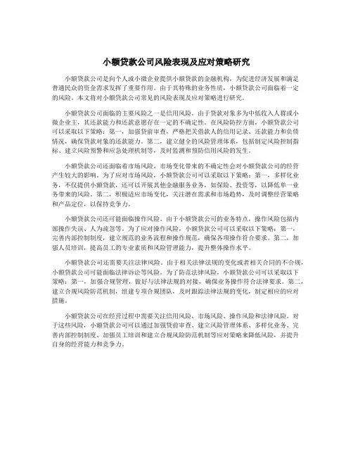 小额贷款公司风险表现及应对策略研究