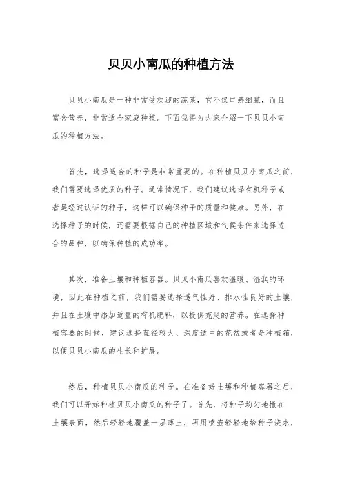 贝贝小南瓜的种植方法