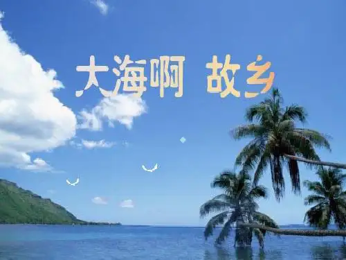 大海啊故乡初中音乐人音版八年级上册_23课件