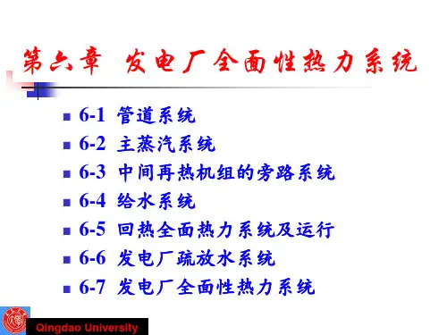 发电厂的全面性热力系统