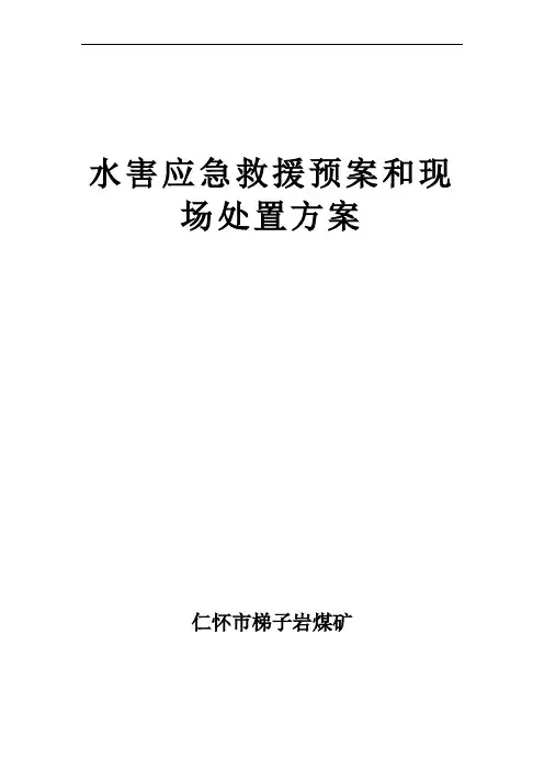 水害应急救援预案和现场处置方案