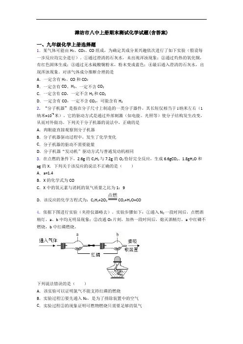 潍坊市八中初三化学上册期末测试化学试题(含答案)