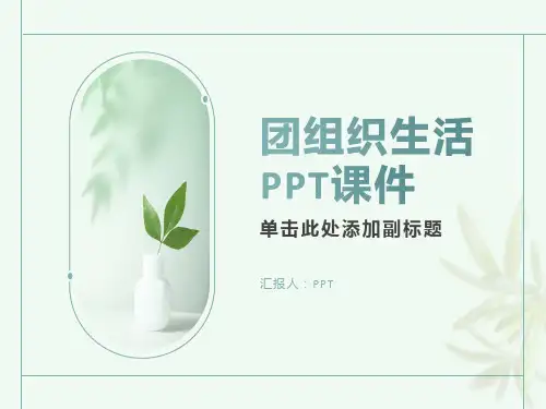 《团组织生活》课件
