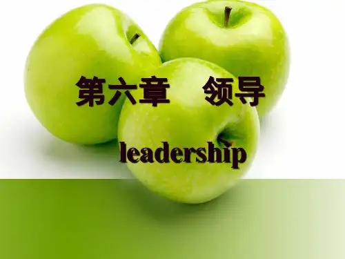 管理学第六章领导