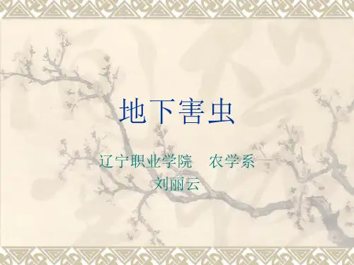 地下害虫