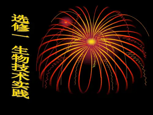 果酒和果醋的制作