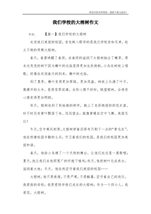 我们学校的大榕树作文