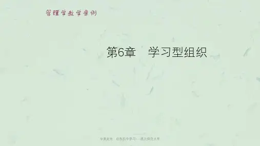 中美史克：在危机中学习---西北师范大学课件