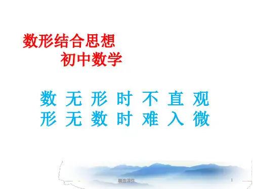 数学数形结合PPT