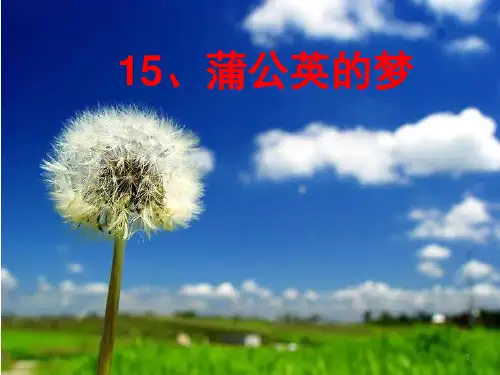 蒲公英的梦ppt课件