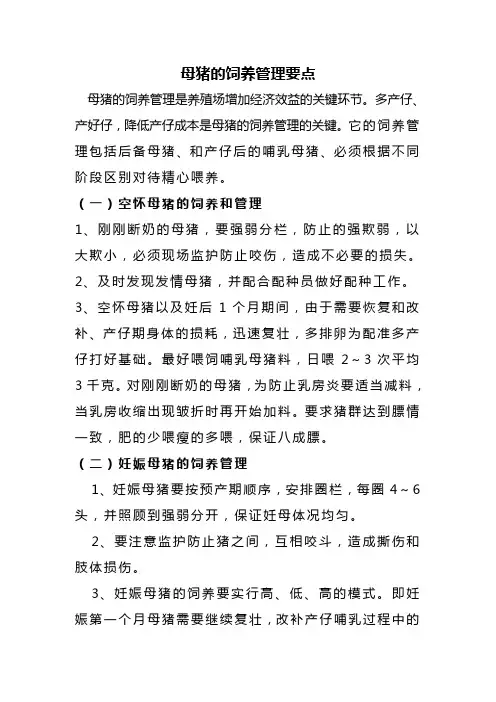 母猪的饲养管理