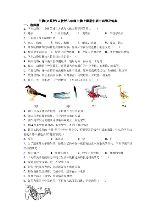生物(完整版)人教版八年级生物上册期中期中试卷及答案
