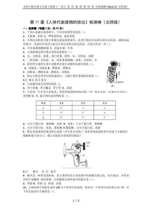 北师大版生物七年级下册第十一章人 体 代 谢 废 物 的 排 出检测题(Word版,无答案)