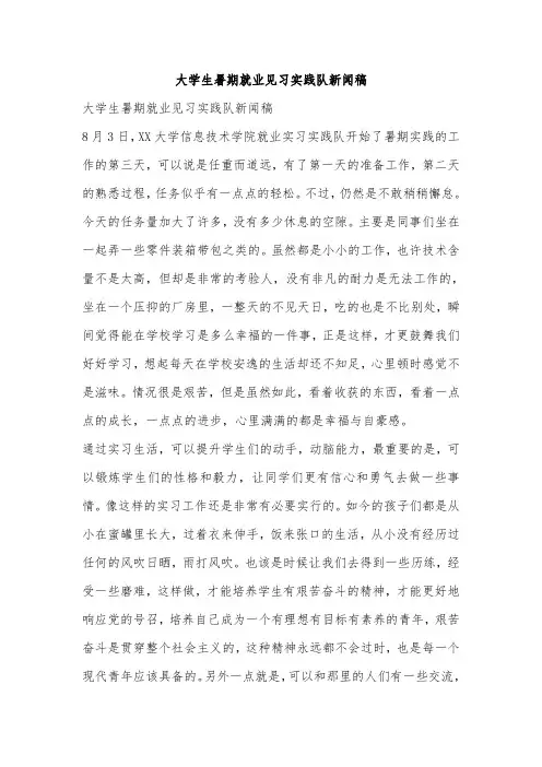 大学生暑期就业见习实践队新闻稿