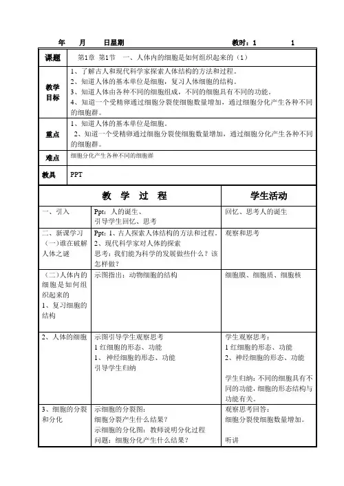 人体内的细胞是如何组织起来的