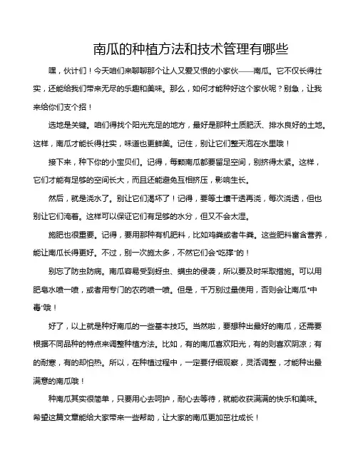 南瓜的种植方法和技术管理有哪些