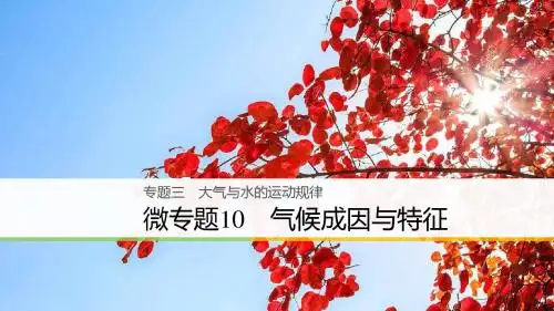 2018届浙江选考高三地理二轮专题复习：专题三 大气与水的运动规律 微专题10