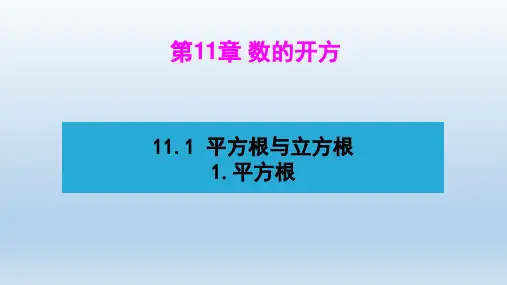 八年级数学上册 第11章 数的开方 教学课件华东师大版