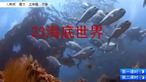 部编版三年级下语文23海底世界ppt课件