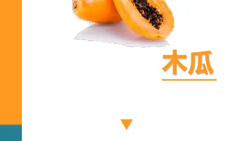 《木瓜》幼儿园小学少儿美术教育PPT绘画课件创意教程教案