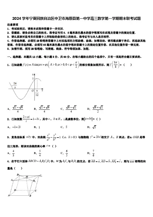 2024学年宁夏回族自治区中卫市海原县第一中学高三数学第一学期期末联考试题含解析