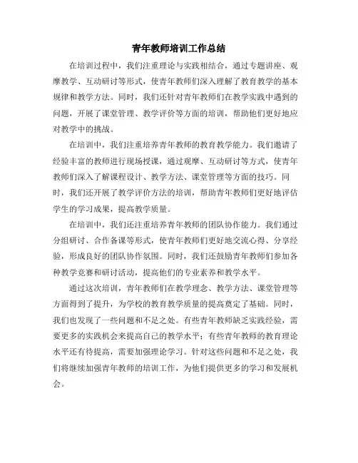 青年教师培训工作总结