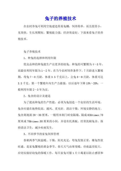 兔子的养殖技术