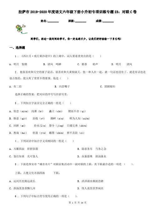 拉萨市2019-2020年度语文六年级下册小升初专项训练专题23：对联C卷