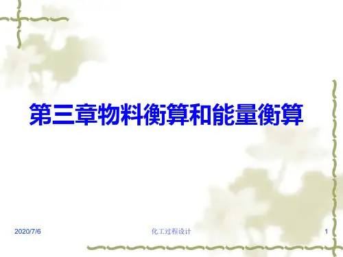 物料衡算和能量横算 ppt课件