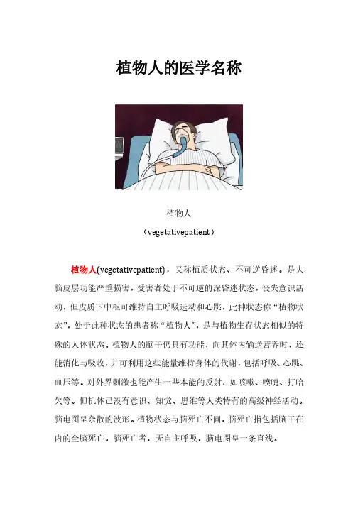 植物人的学术名称