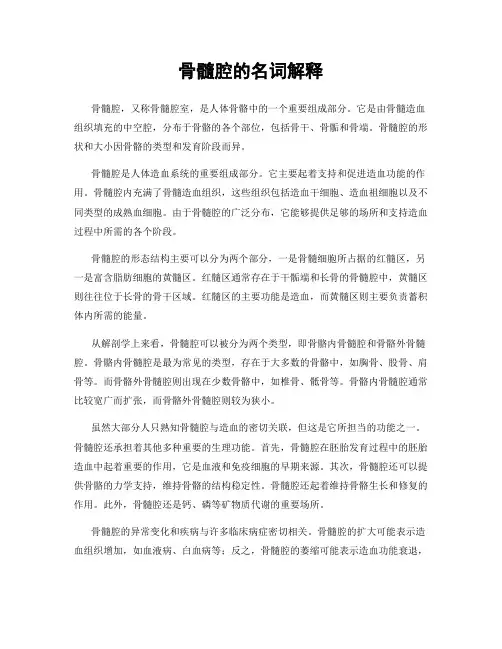 骨髓腔的名词解释