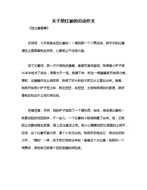 关于挖红薯的劳动作文