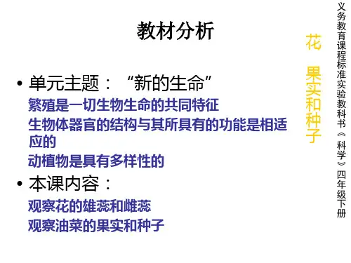 小学科学花、果实和种子(PPT)3-1